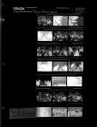 Tobacco Market Opening (21 negatives), August 22-24, 1966 [Sleeve 48, Folder d, Box 40]